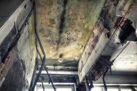 Best Mold Prevention Services  in Colfax, CA